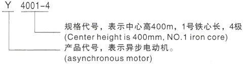 西安泰富西玛Y系列(H355-1000)高压YE2-250M-6三相异步电机型号说明