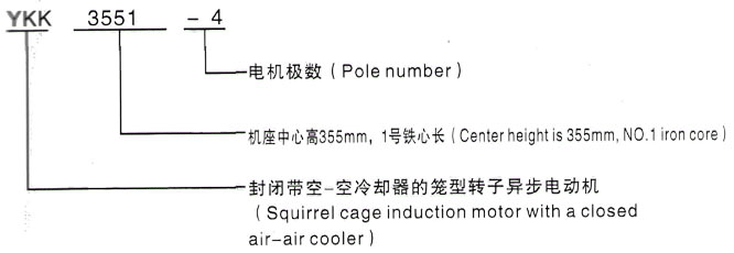 YKK系列(H355-1000)高压YE2-250M-6三相异步电机西安泰富西玛电机型号说明